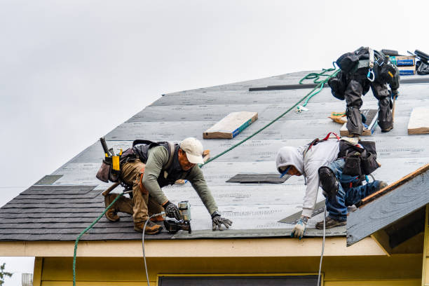 Professional Roofing technician working in Hector, MN